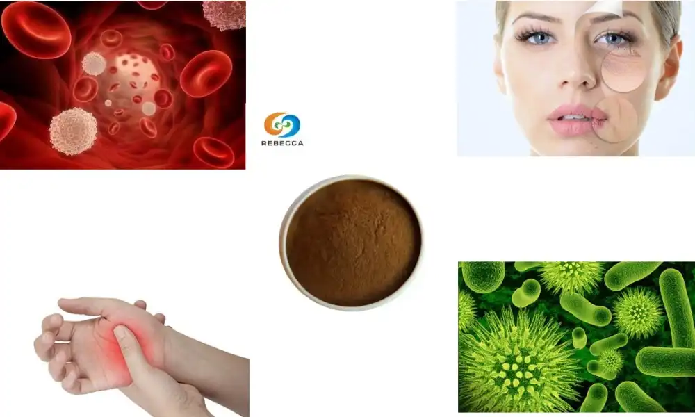 How Does Pure Propolis Powder Aid in Wound Healing?